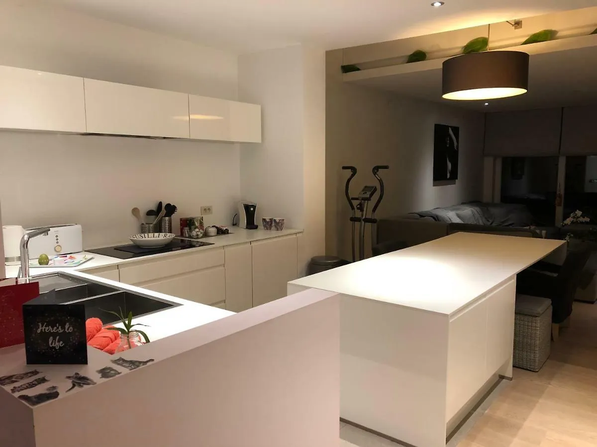 Home Bruges Cosy Comfort Modern Couple Privacy Walking Distance City Center Kitchen Terrace Garden Apartment